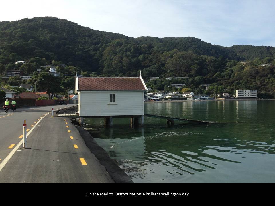 24.jpg (78209 bytes)